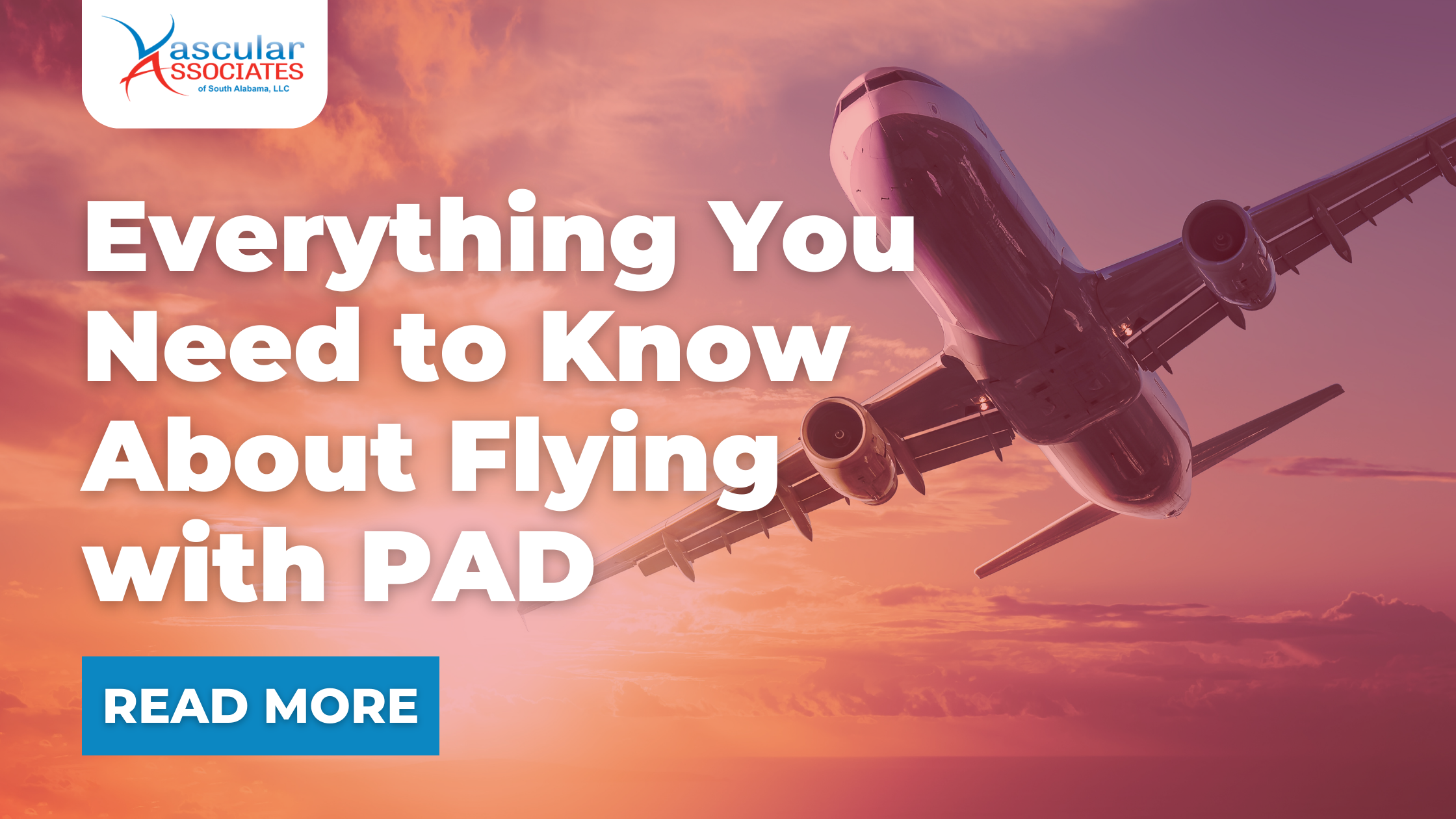 Everything You Need to Know About Flying with PAD.png